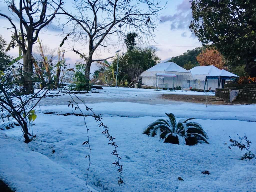 Tatva Bir Tents And Hotel Kangar Eksteriør billede